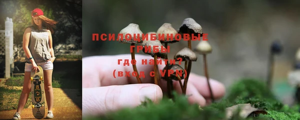 стаф Абдулино