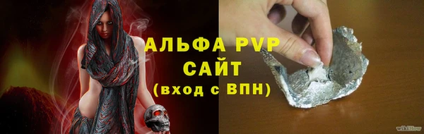 гашик Осинники