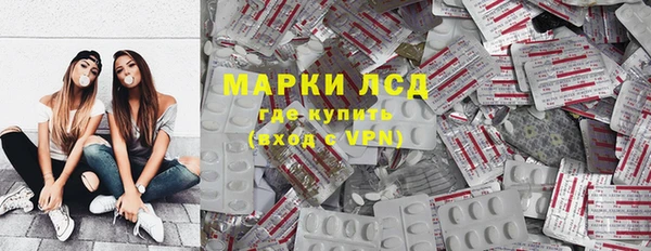 стафф Алзамай
