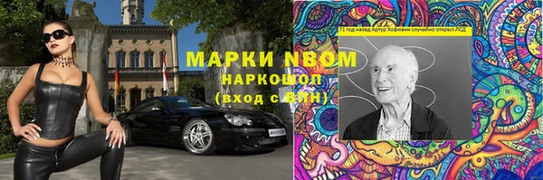 стафф Алзамай